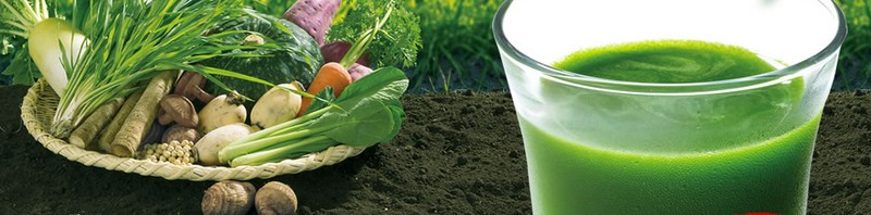 飲みごたえ野菜青汁情報サイト
